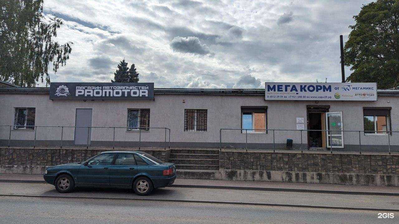 Отзывы на компанию Promotor в г. Черняховск c фото