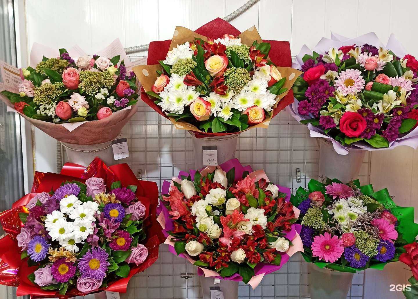 Отзывы на компанию Магнолия в Воронеже c фото