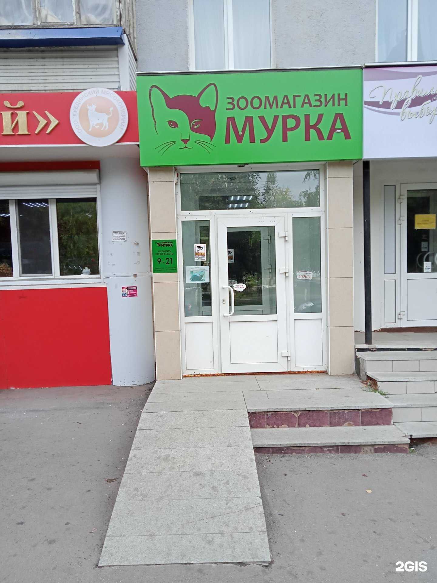 Отзывы на компанию Мурка в Нефтекамске c фото