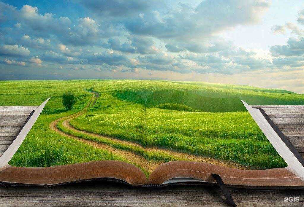 Отзывы на компанию Алибаба в Балашихе c фото