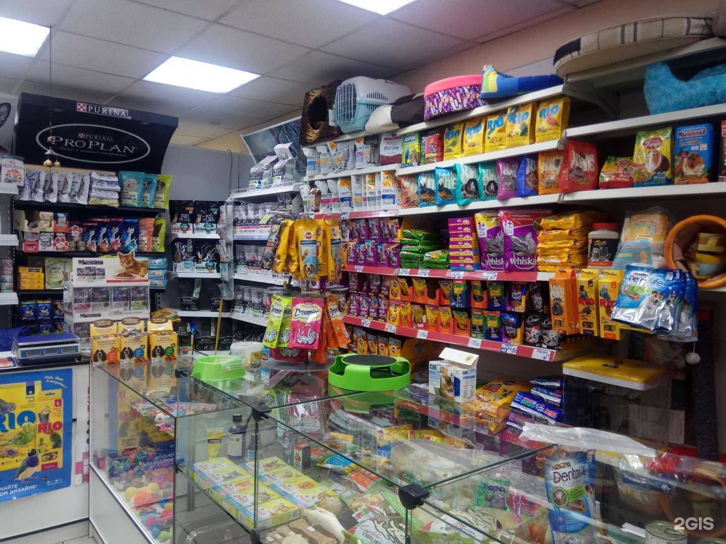 Отзывы на компанию Четыре лапы в Улан-Удэ c фото