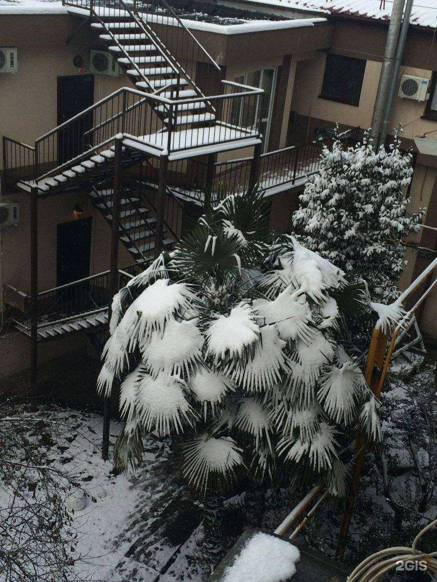 Отзывы на компанию Дымок в Сочи c фото - фотография 2 из 2