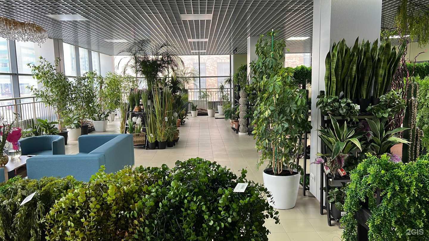 Отзывы на компанию Кабинет косметолога-эстетиста в Новосибирске c фото - фотография 2 из 2