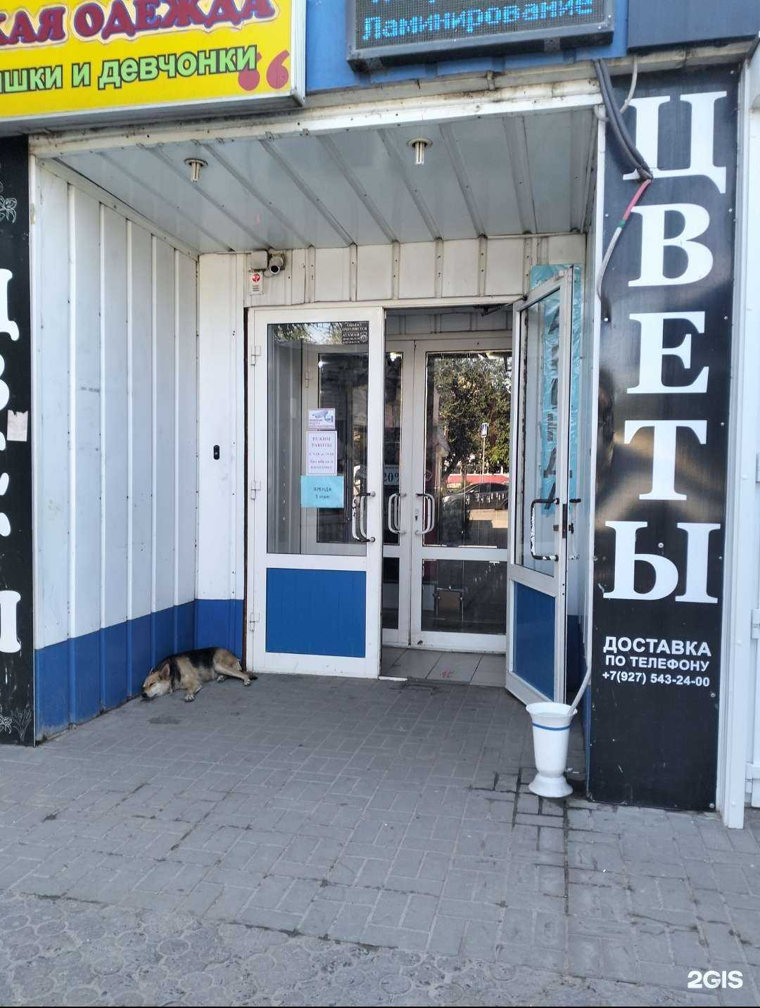 Отзывы на компанию Магазин одежды для девочек и мальчиков в г. Волгоград c фото