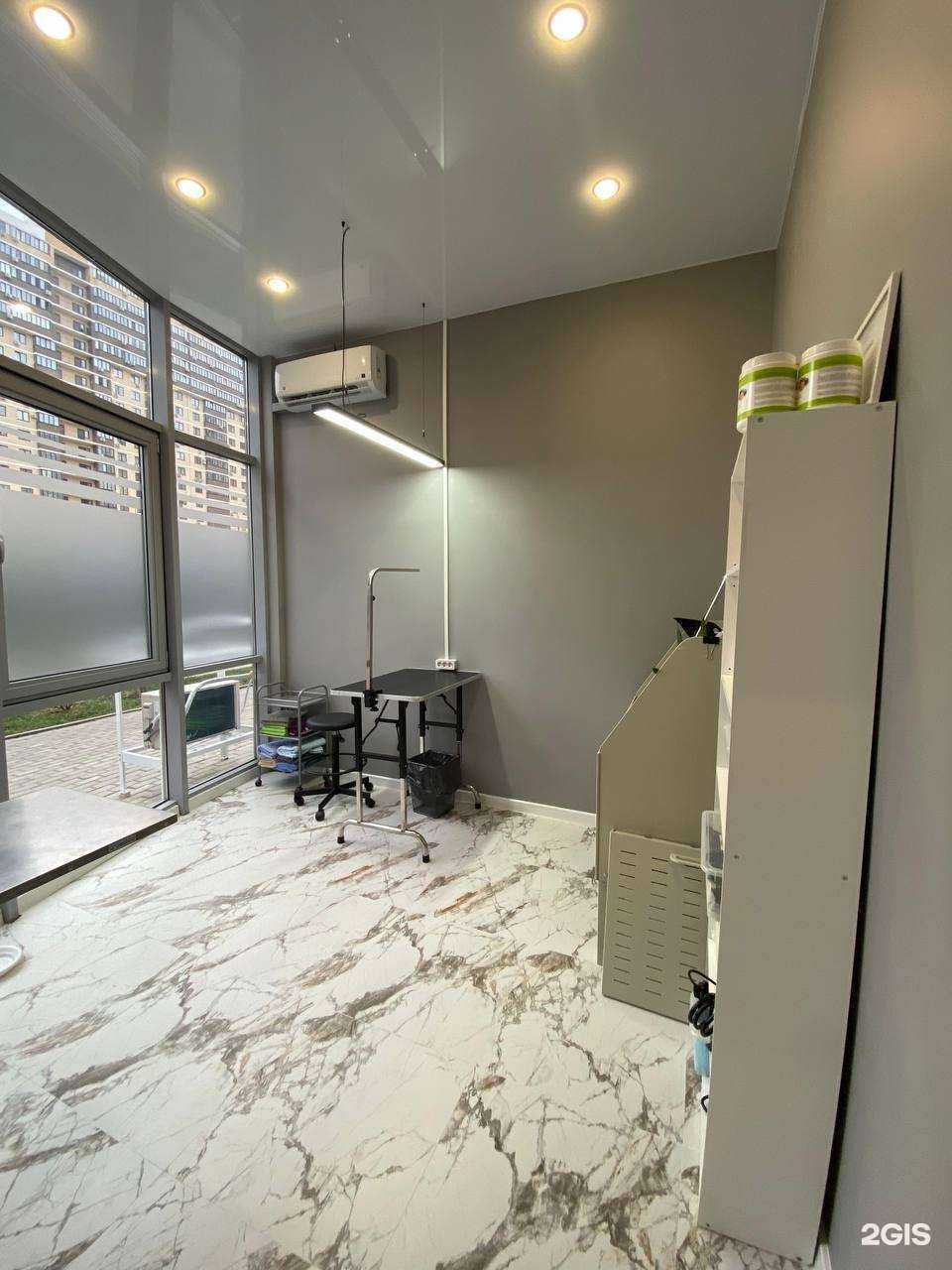 Отзывы на компанию Котопёс в Краснодаре c фото