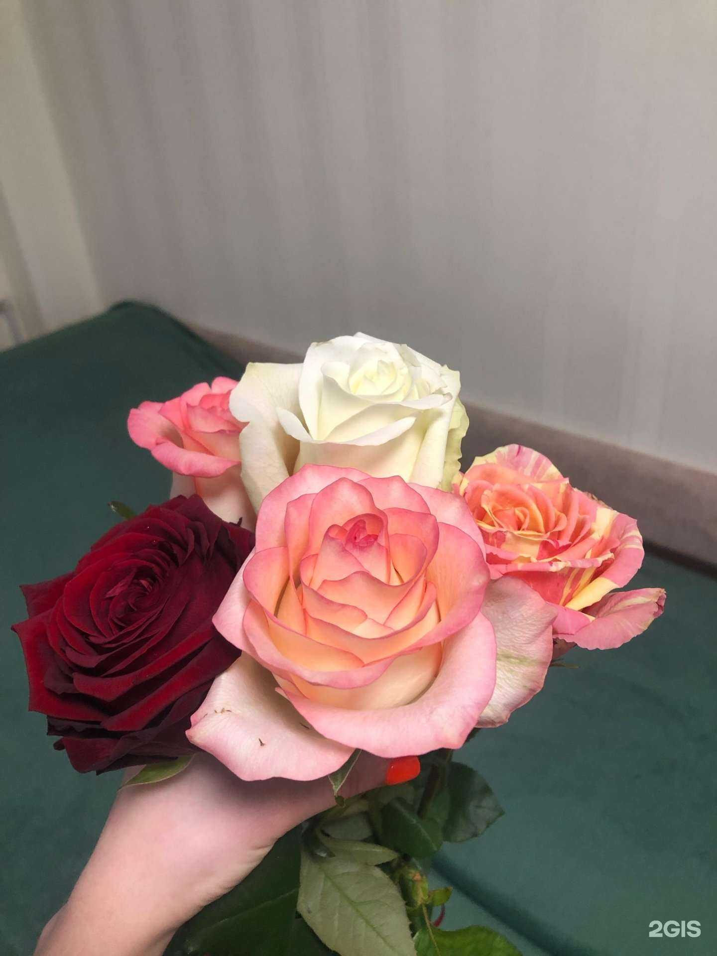 Отзывы на компанию Kraft flowers в Ставрополе c фото