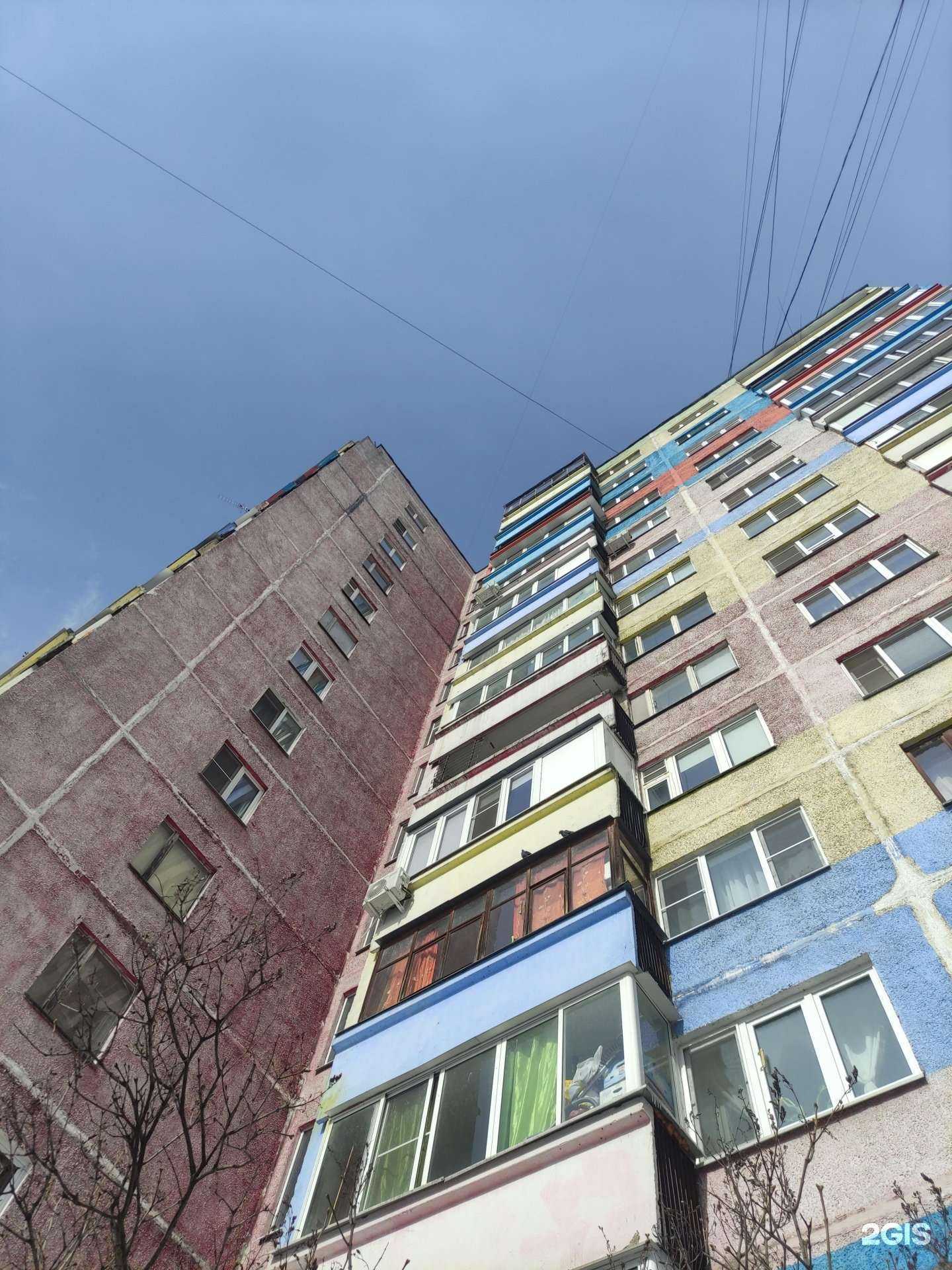 Отзывы на компанию База цветов в Раменском c фото - фотография 2 из 2