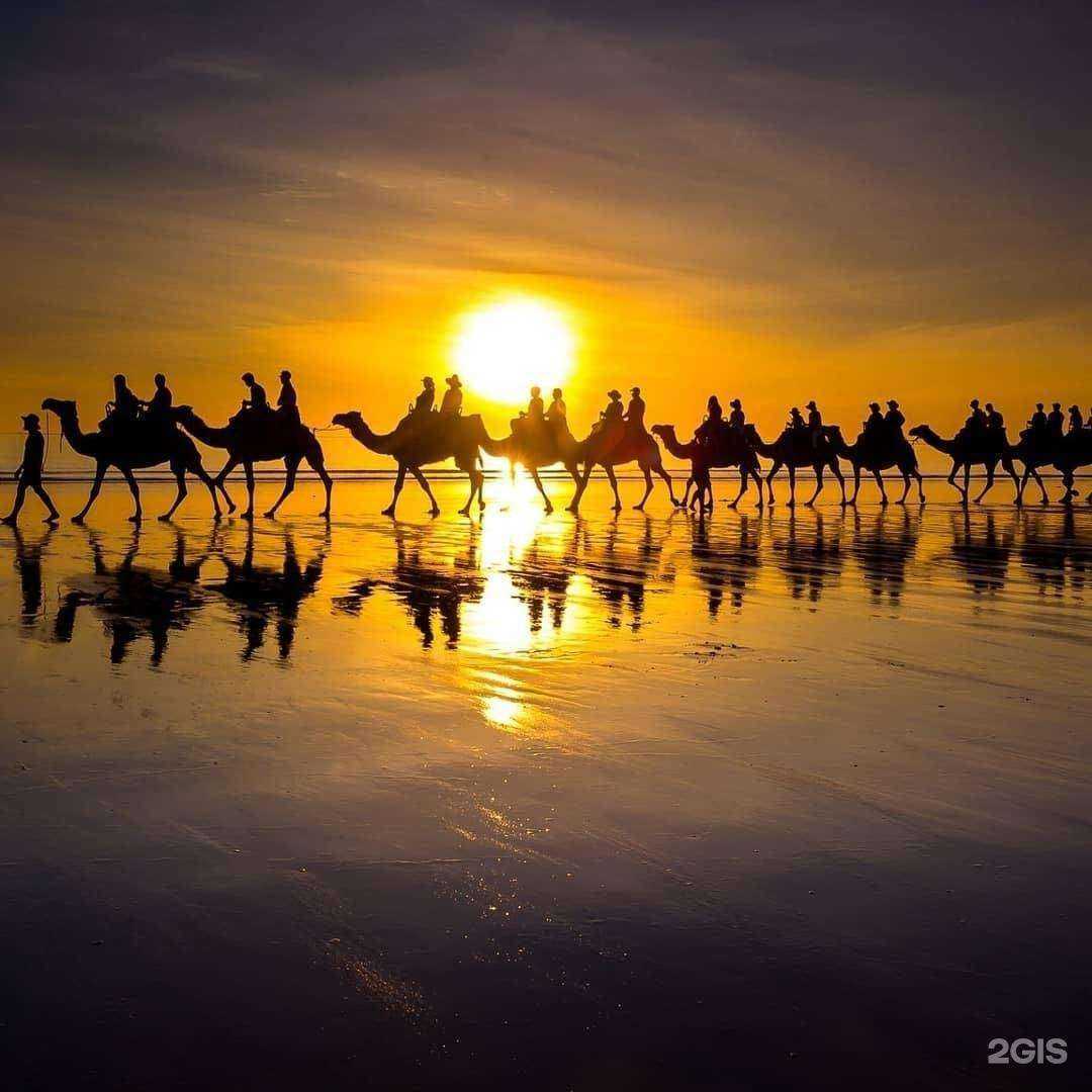 Отзывы на компанию Курочка у моря в г. Воронеж c фото