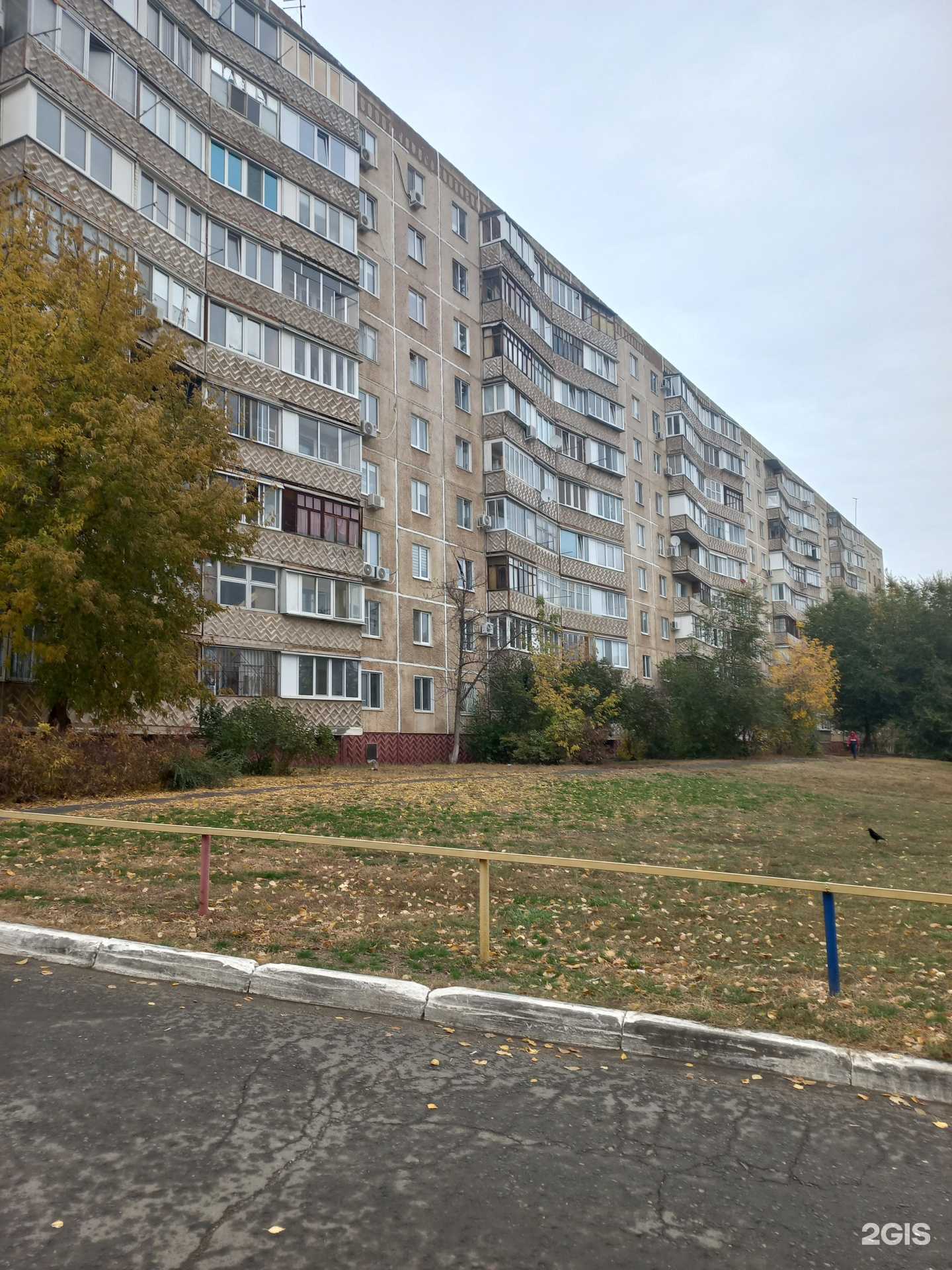 Отзывы на компанию Первая в Оренбурге c фото - фотография 2 из 2