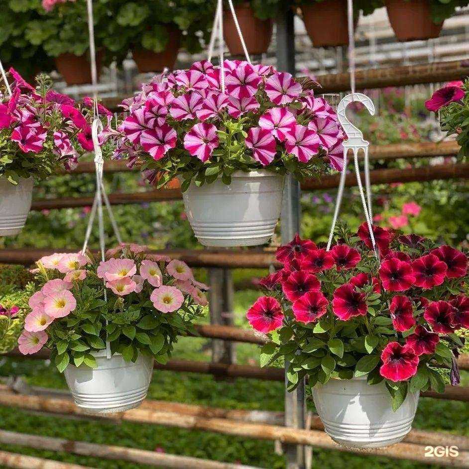 Отзывы на компанию Урожайная грядка в г. Улан-Удэ c фото