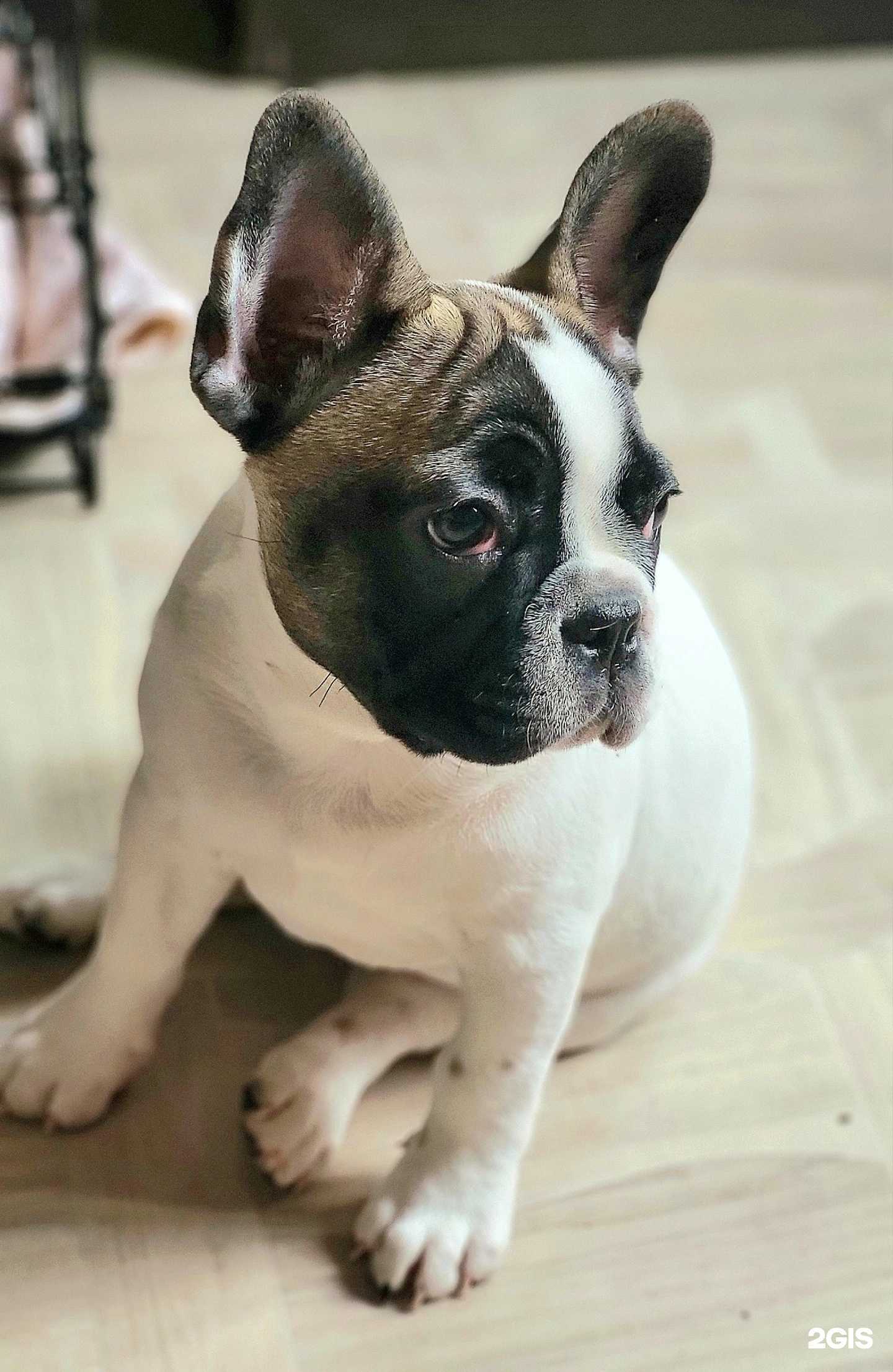 Отзывы на компанию Акари Киар в г. Кемерово c фото