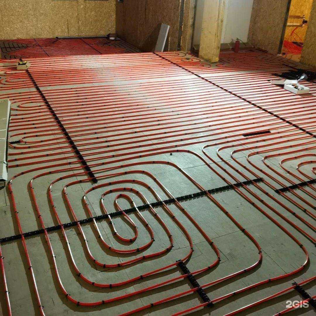 Отзывы на компанию Медведь в Красноярске c фото