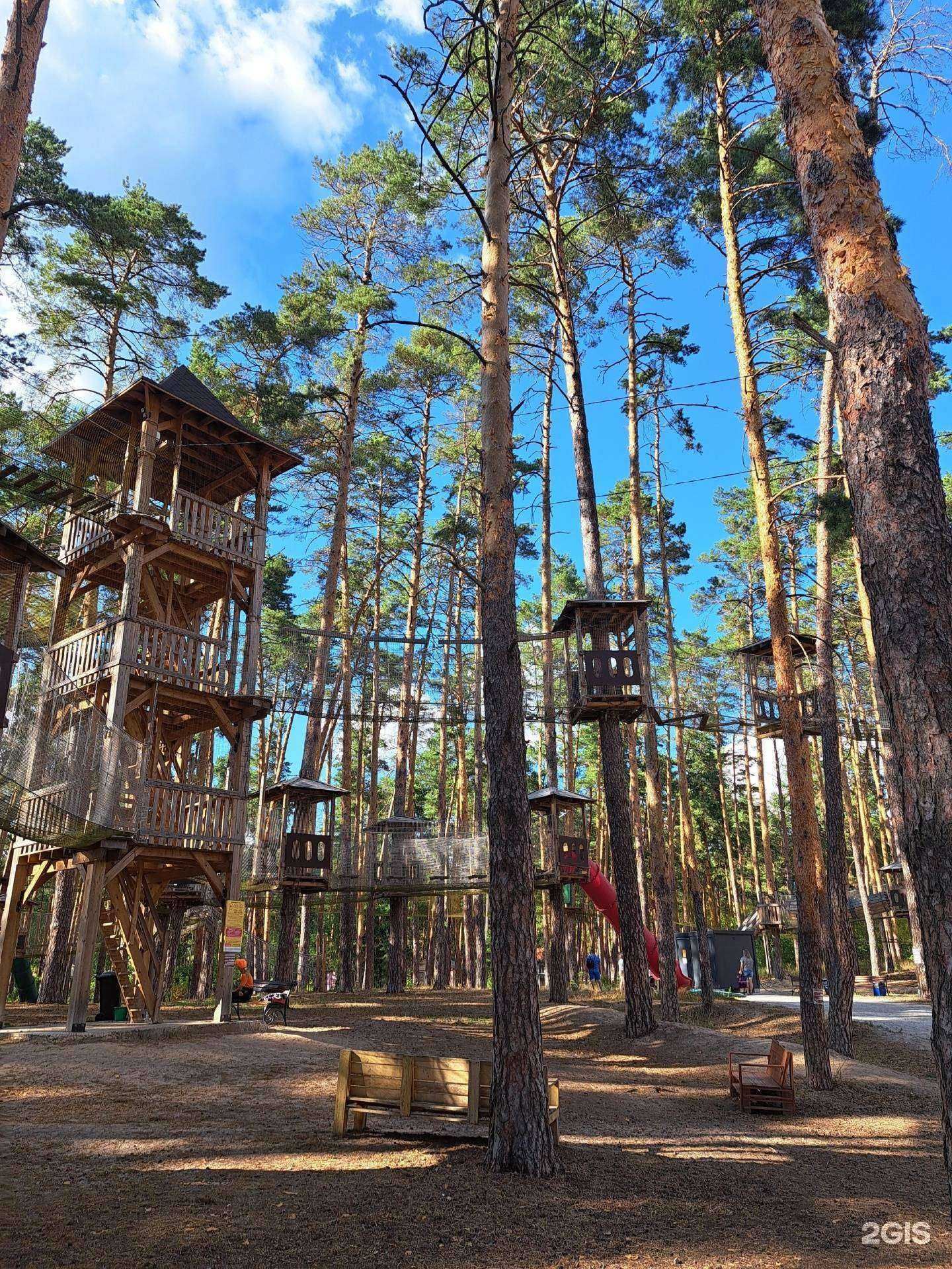 Отзывы на компанию Сказочный лес в г. Тамбов c фото