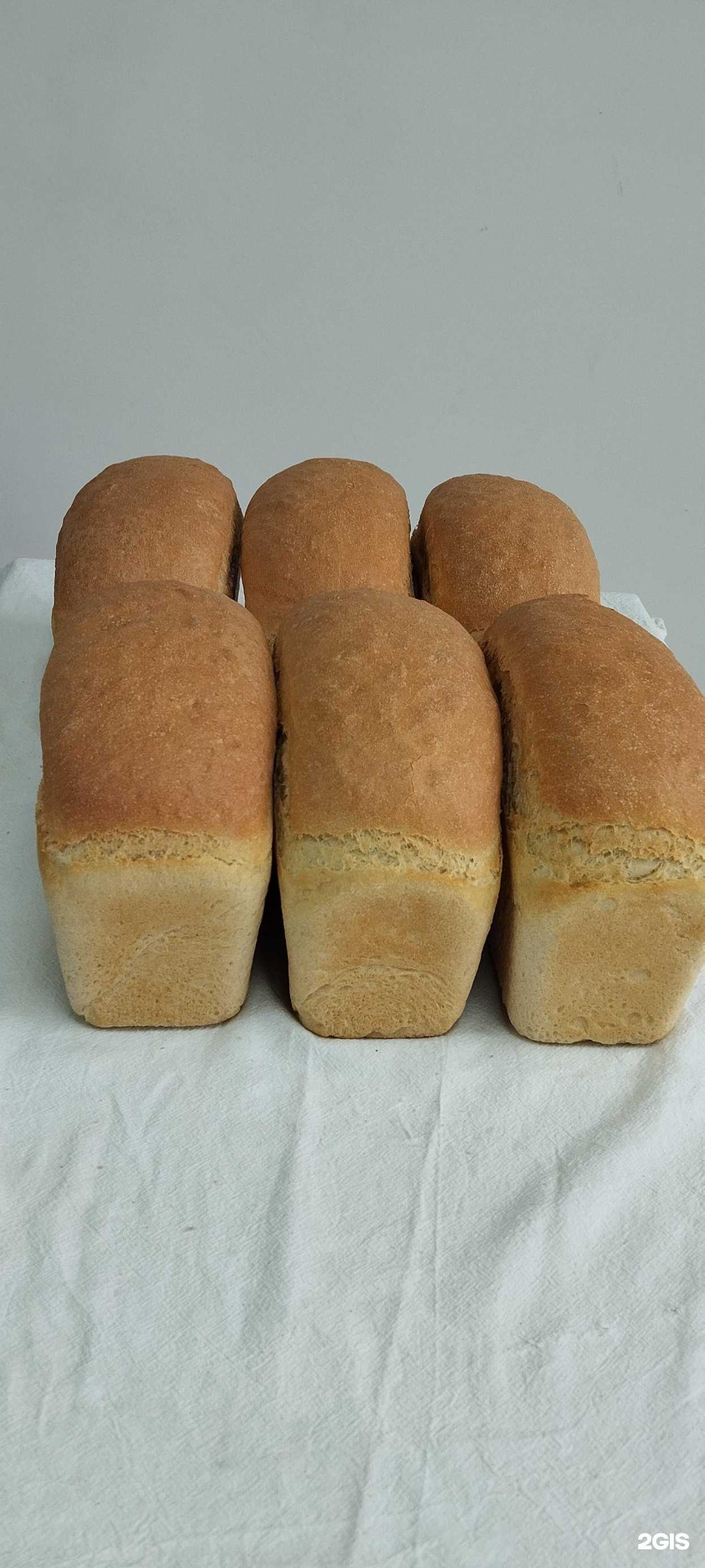 Отзывы на компанию Lavash house в г. Каспийск c фото