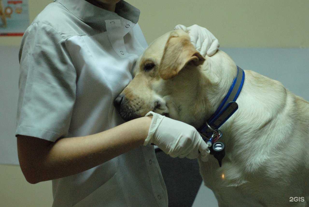 Отзывы на компанию Dобрый Dоктор в Краснодаре c фото