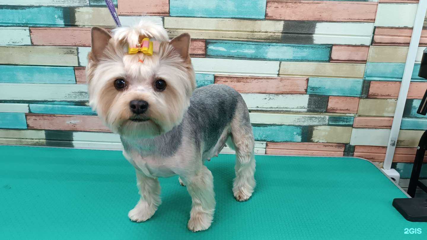 Отзывы на компанию ГлаМурка в г. Томск c фото