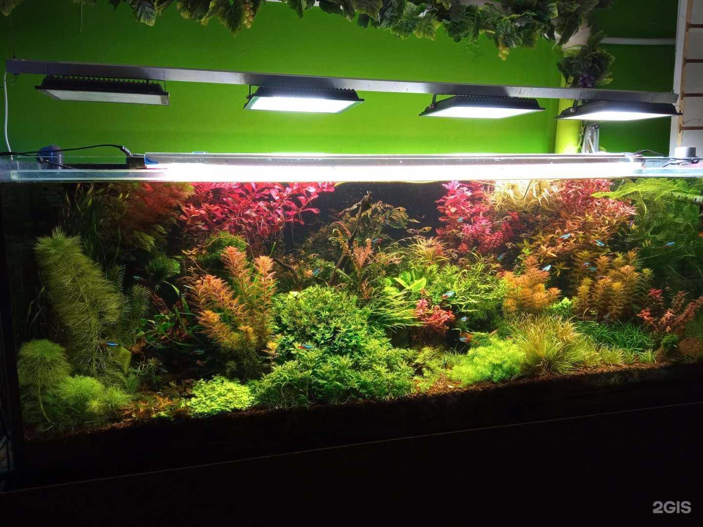 Отзывы на компанию Природа в г. Тюмень c фото