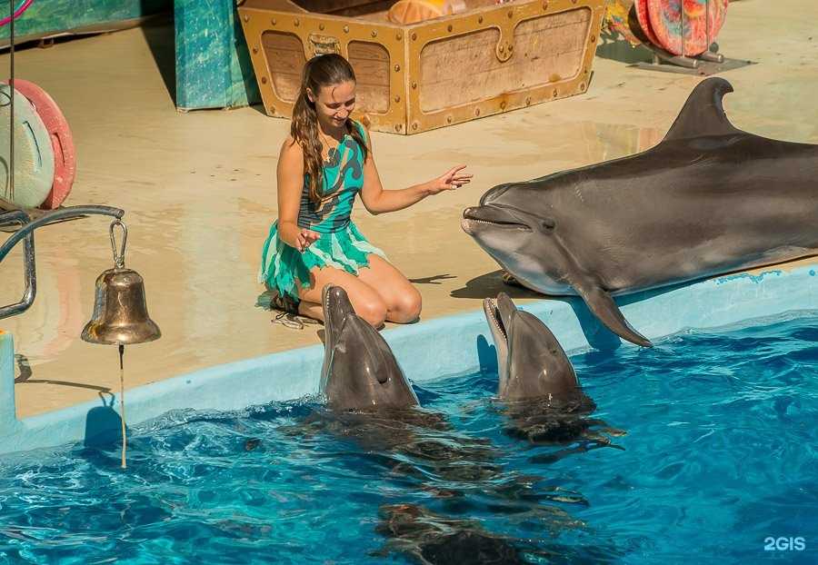 Отзывы на компанию Анапский дельфинарий в г. Анапа c фото
