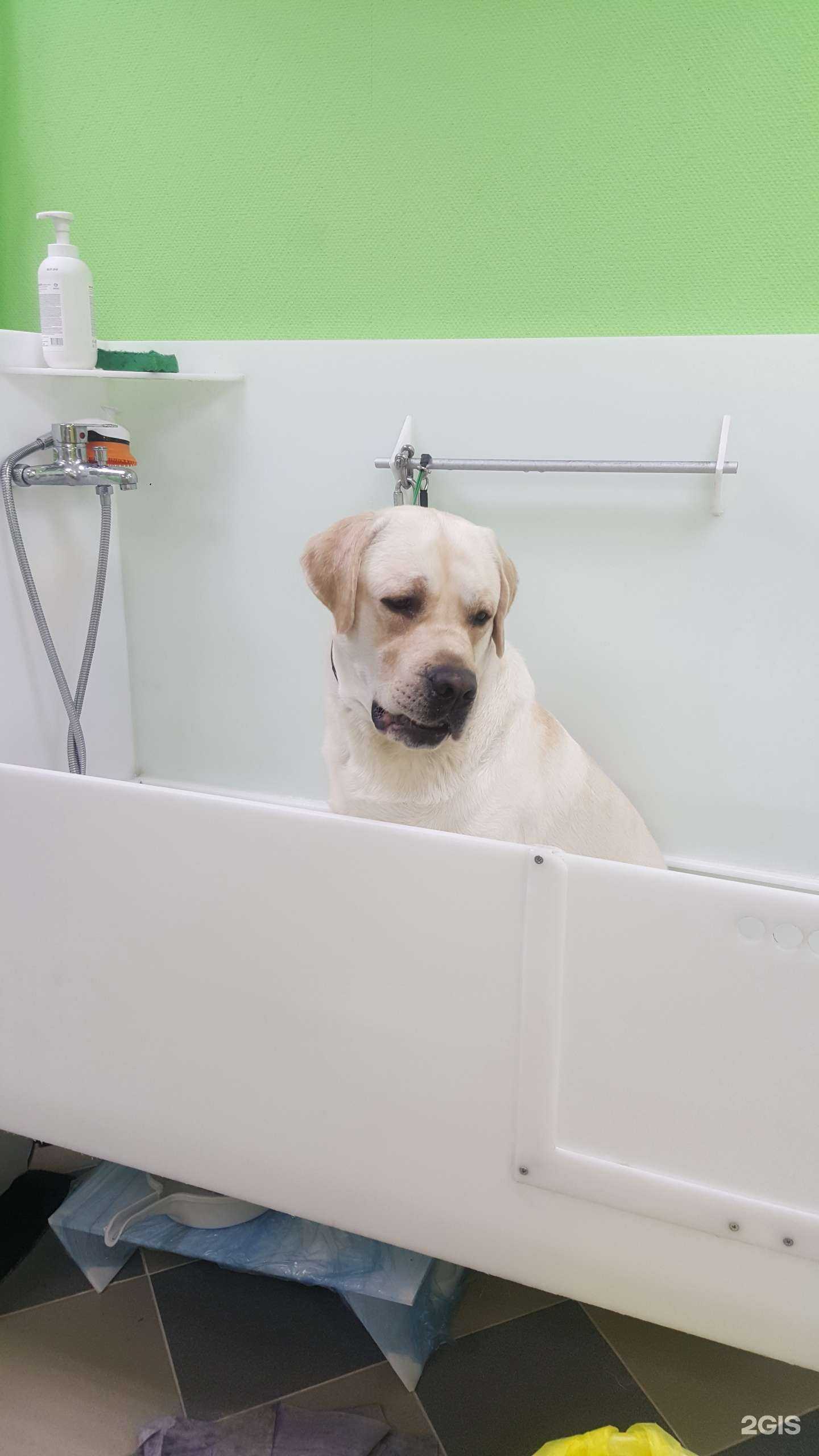 Отзывы на компанию Nordgroom в Мурманске c фото