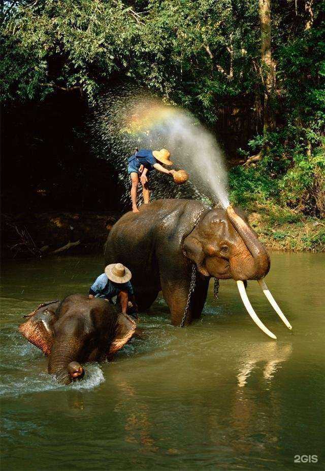 Отзывы на компанию Игуана в Перми c фото