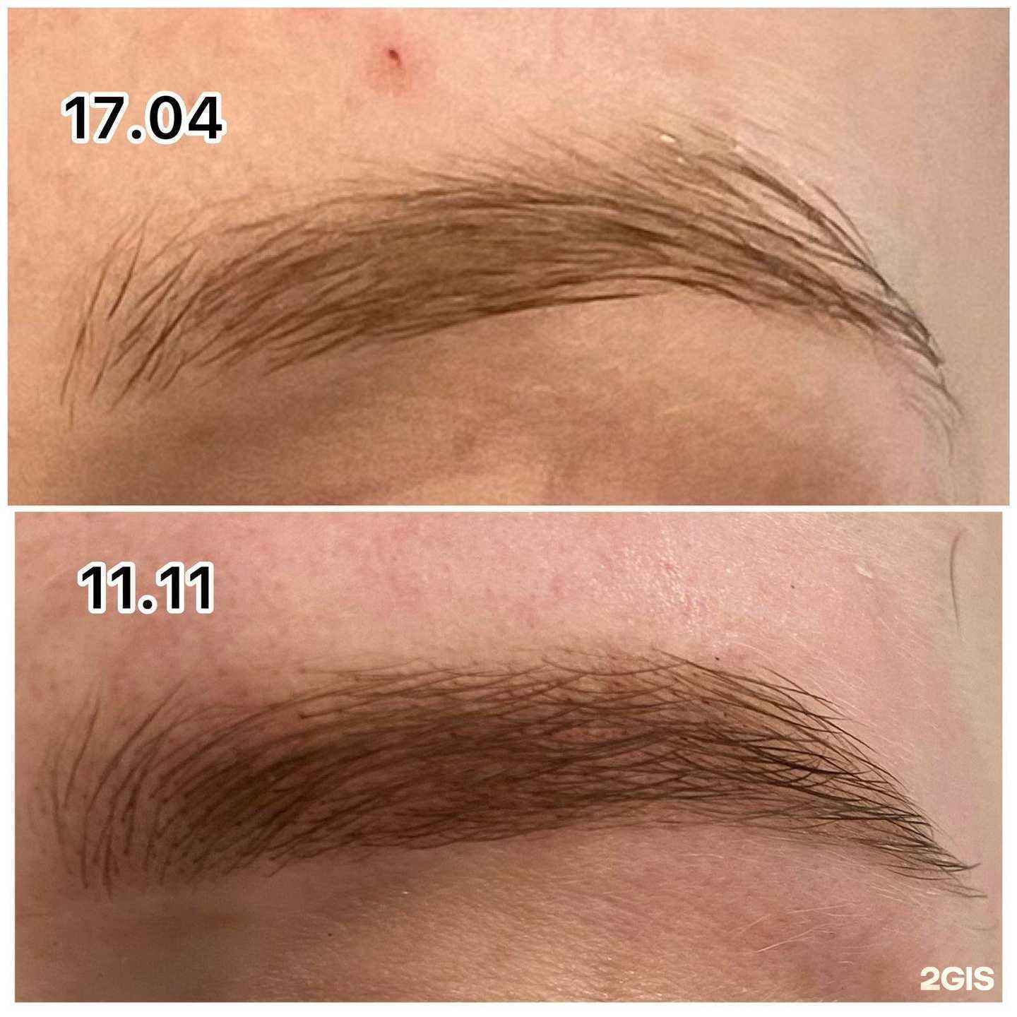 Отзывы на компанию Brovolog в Ростове-на-Дону c фото