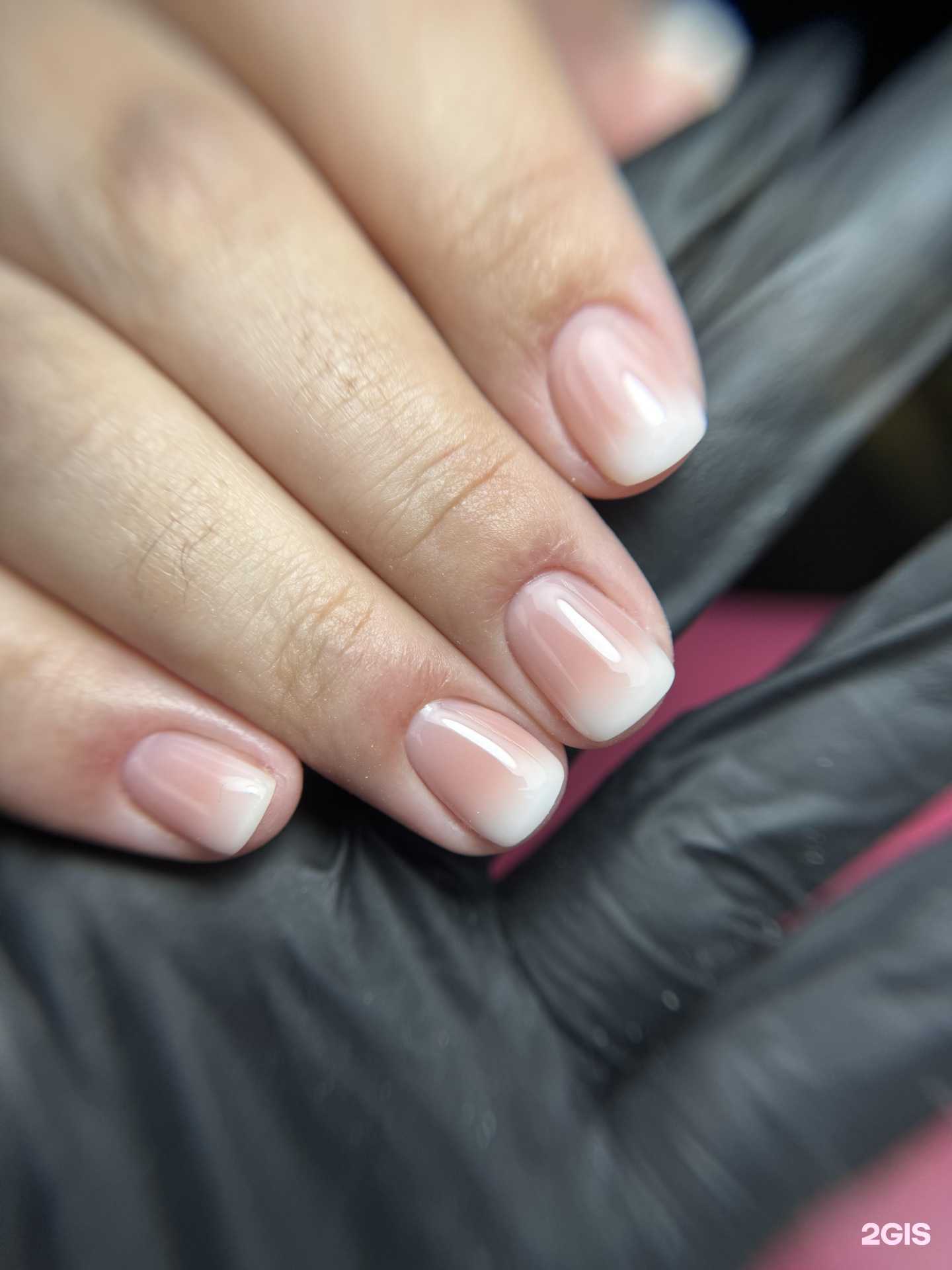 Отзывы на компанию N.Ray в Якутске c фото