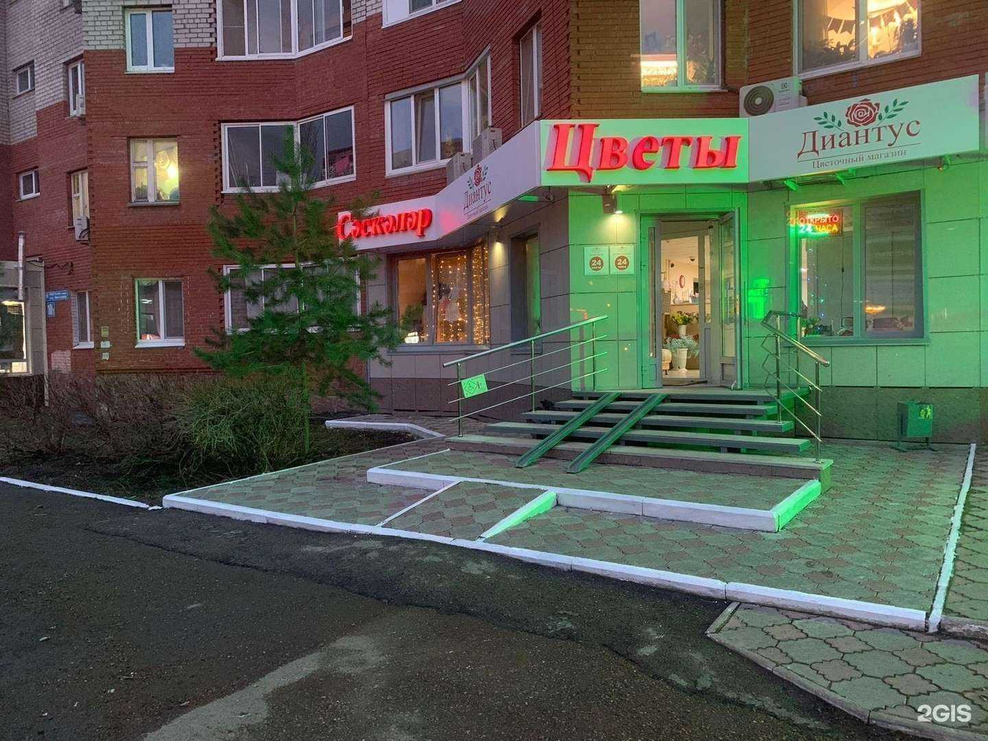 Отзывы на компанию Диантус в Уфе c фото