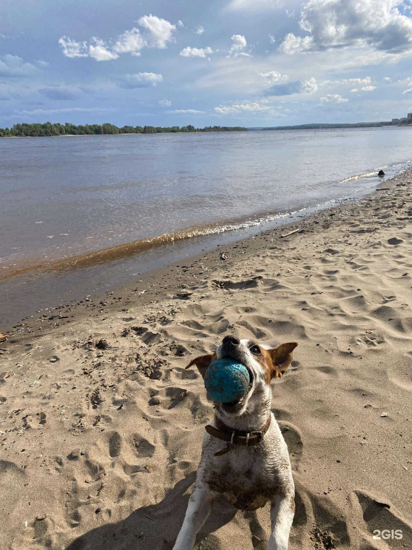 Отзывы на компанию Умка в г. Пермь c фото