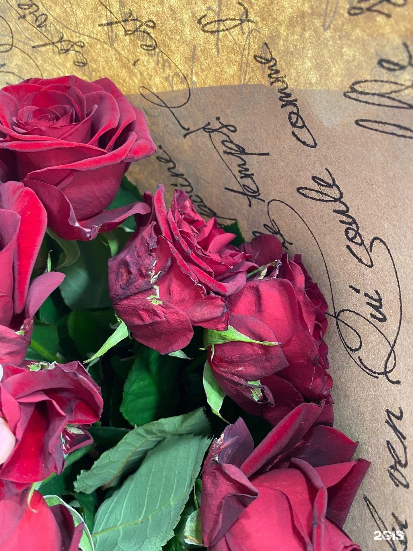 Отзывы на компанию Цветы74 в г. Челябинск c фото