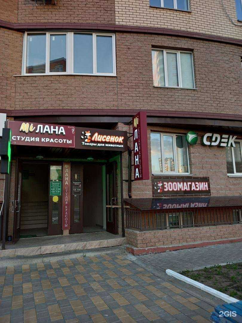 Отзывы на компанию Лисёнок в Курске c фото