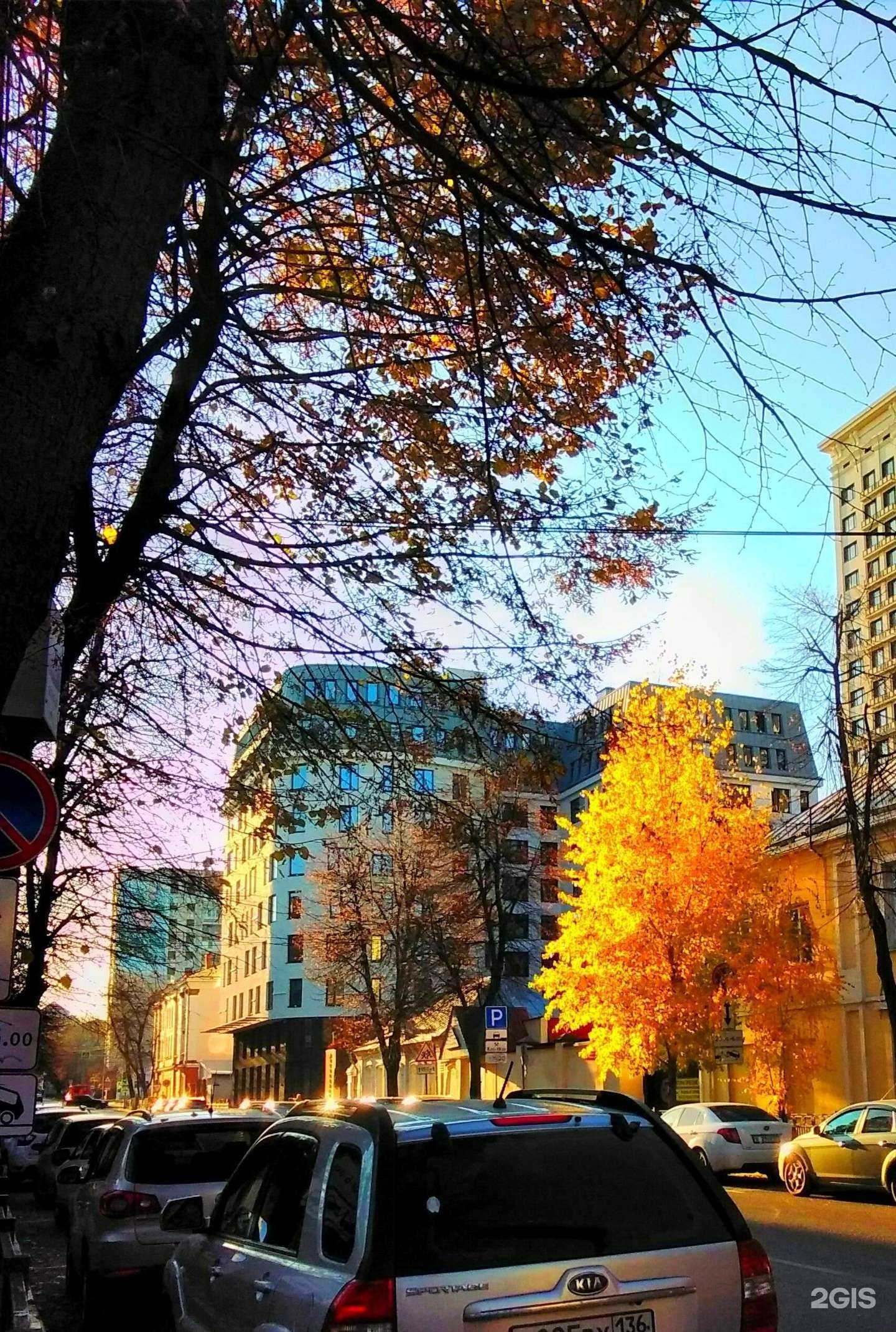 Отзывы на компанию Никитин в Воронеже c фото - фотография 2 из 2