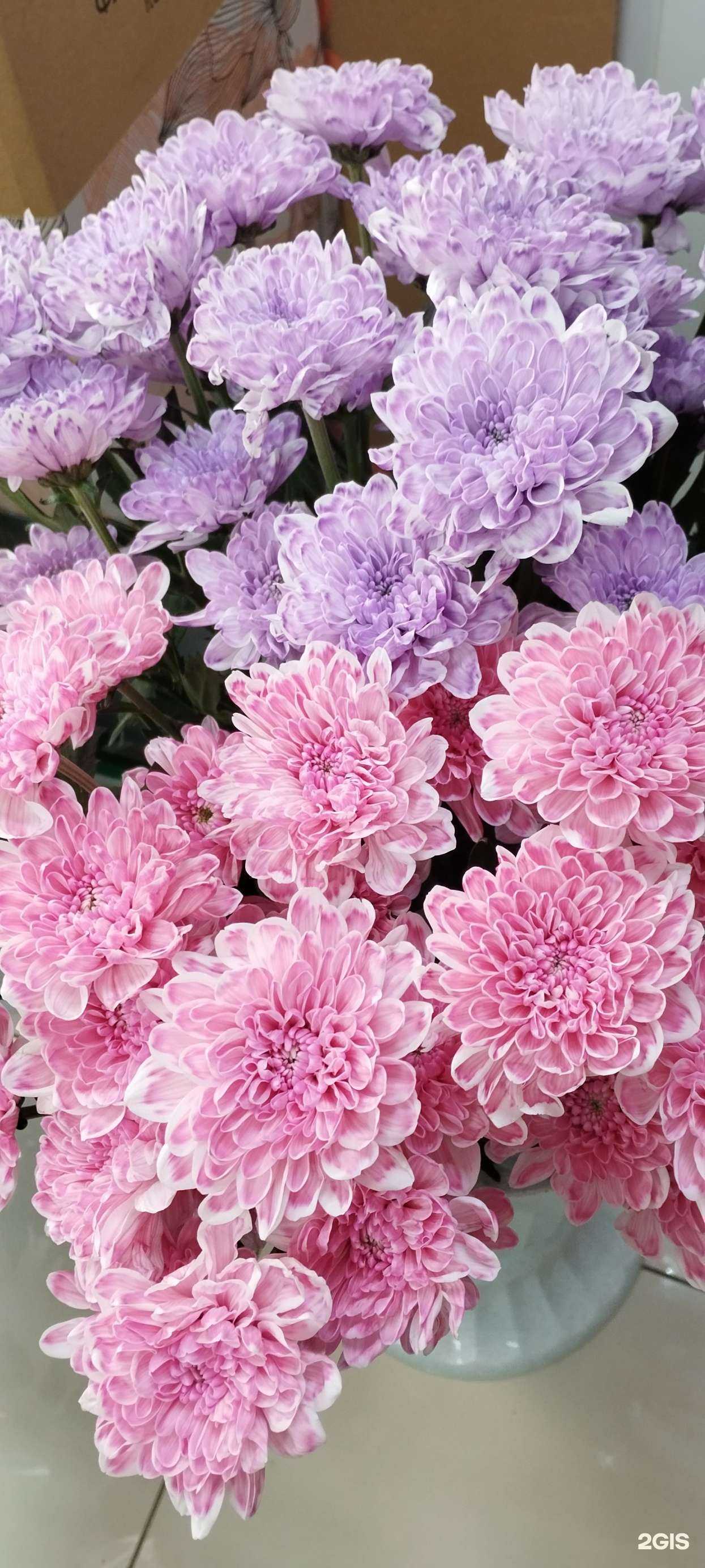 Отзывы на компанию Магазин цветов в г. Каменск-Уральский c фото