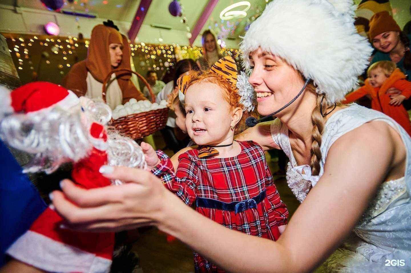 Отзывы на компанию Филибоба в Хабаровске c фото