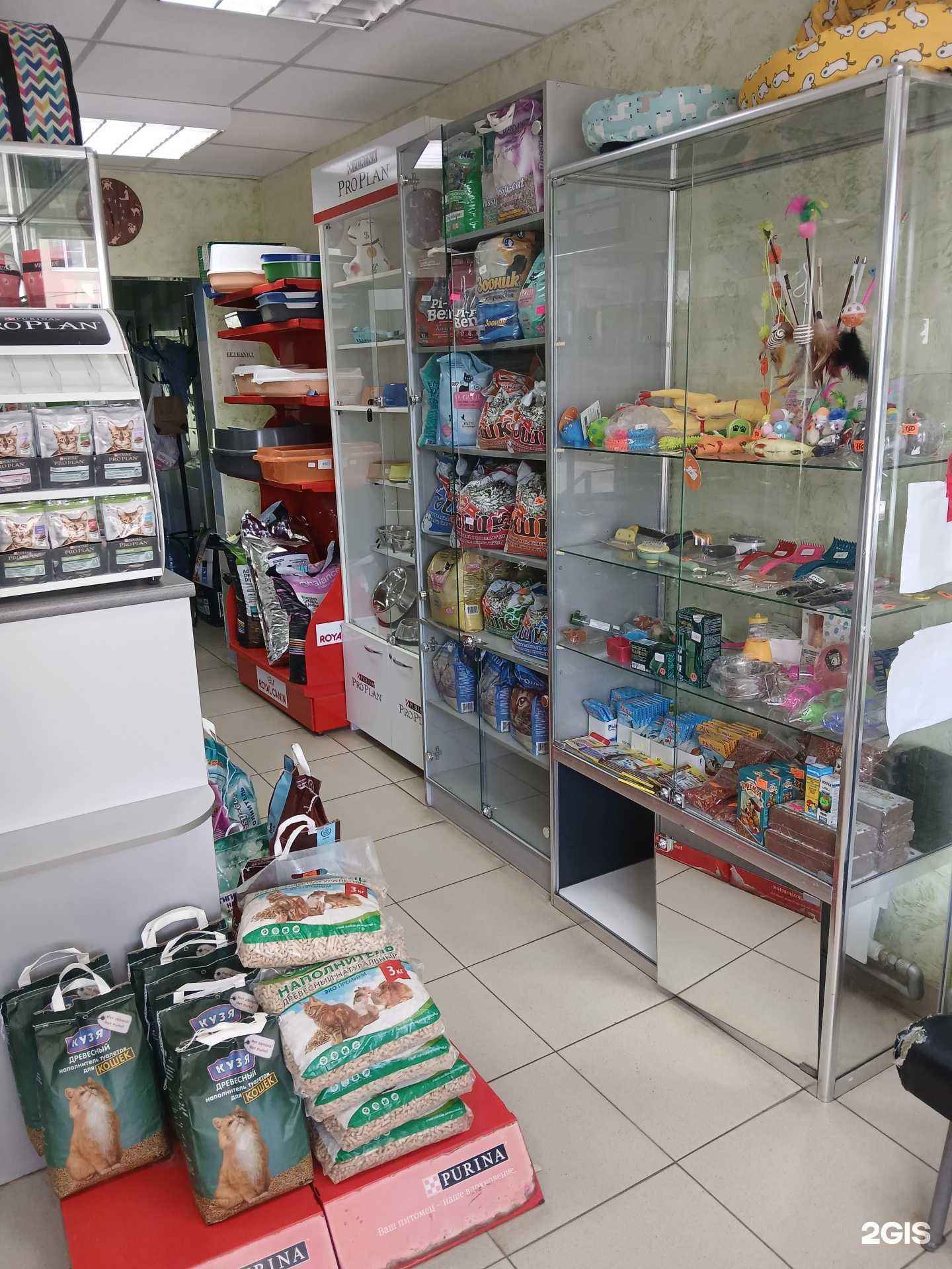 Отзывы на компанию ВетКэт в г. Воронеж c фото