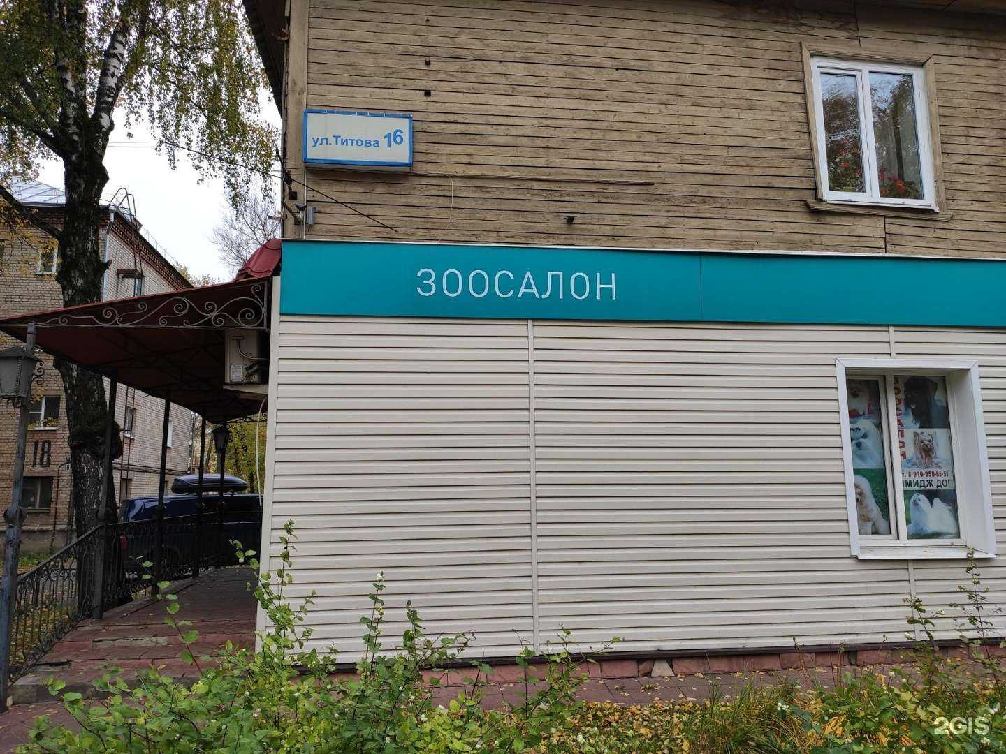 Отзывы на компанию Имидж дог в Костроме c фото