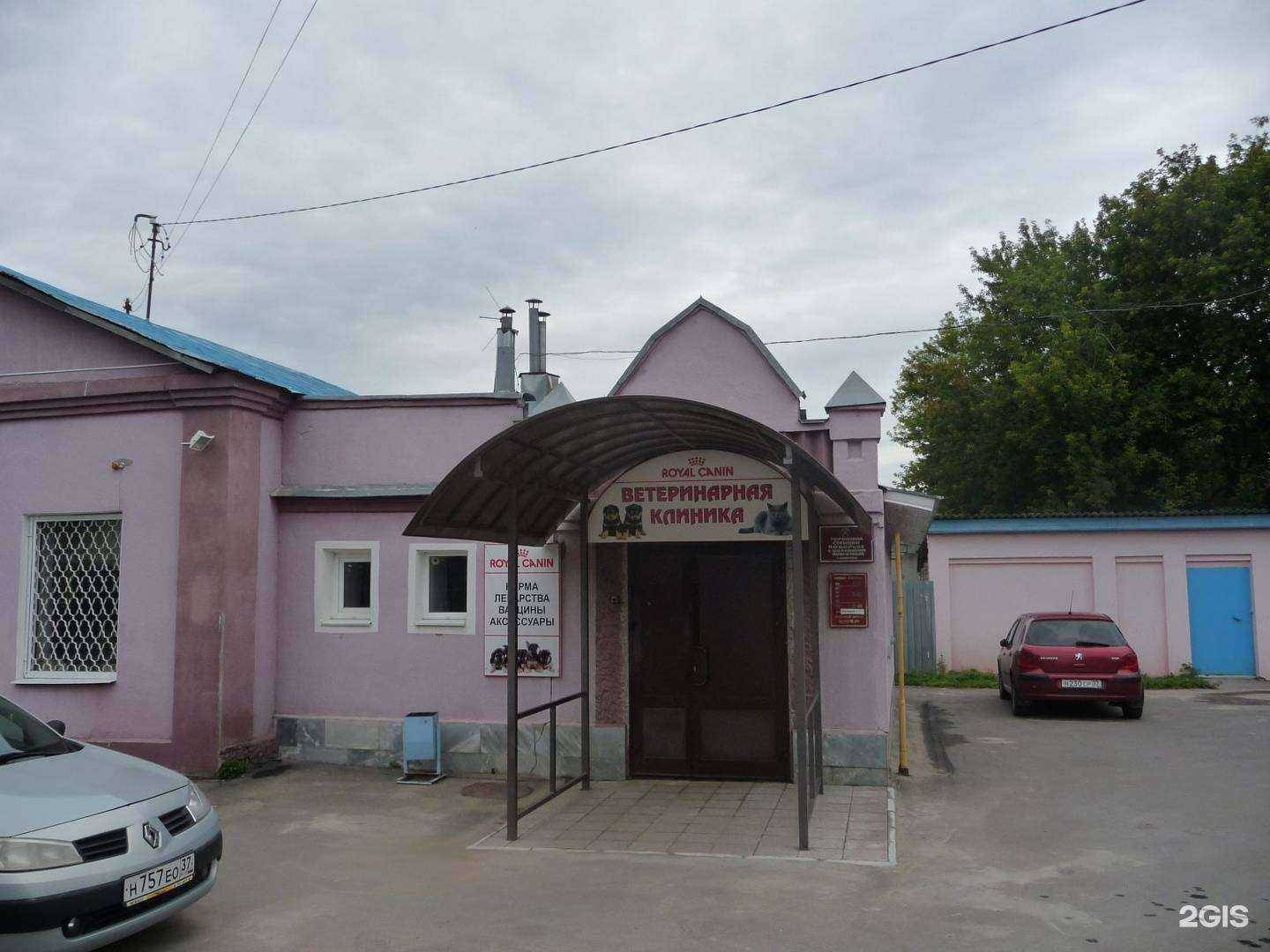 Отзывы на компанию Ивановская городская станция по борьбе с болезнями животных в г. Иваново c фото