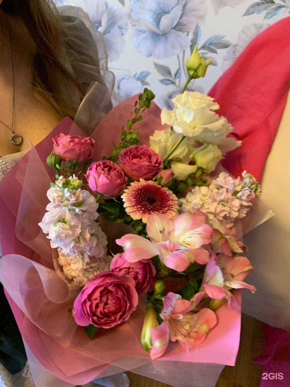 Отзывы на компанию Софи Лорен в г. Саратов c фото