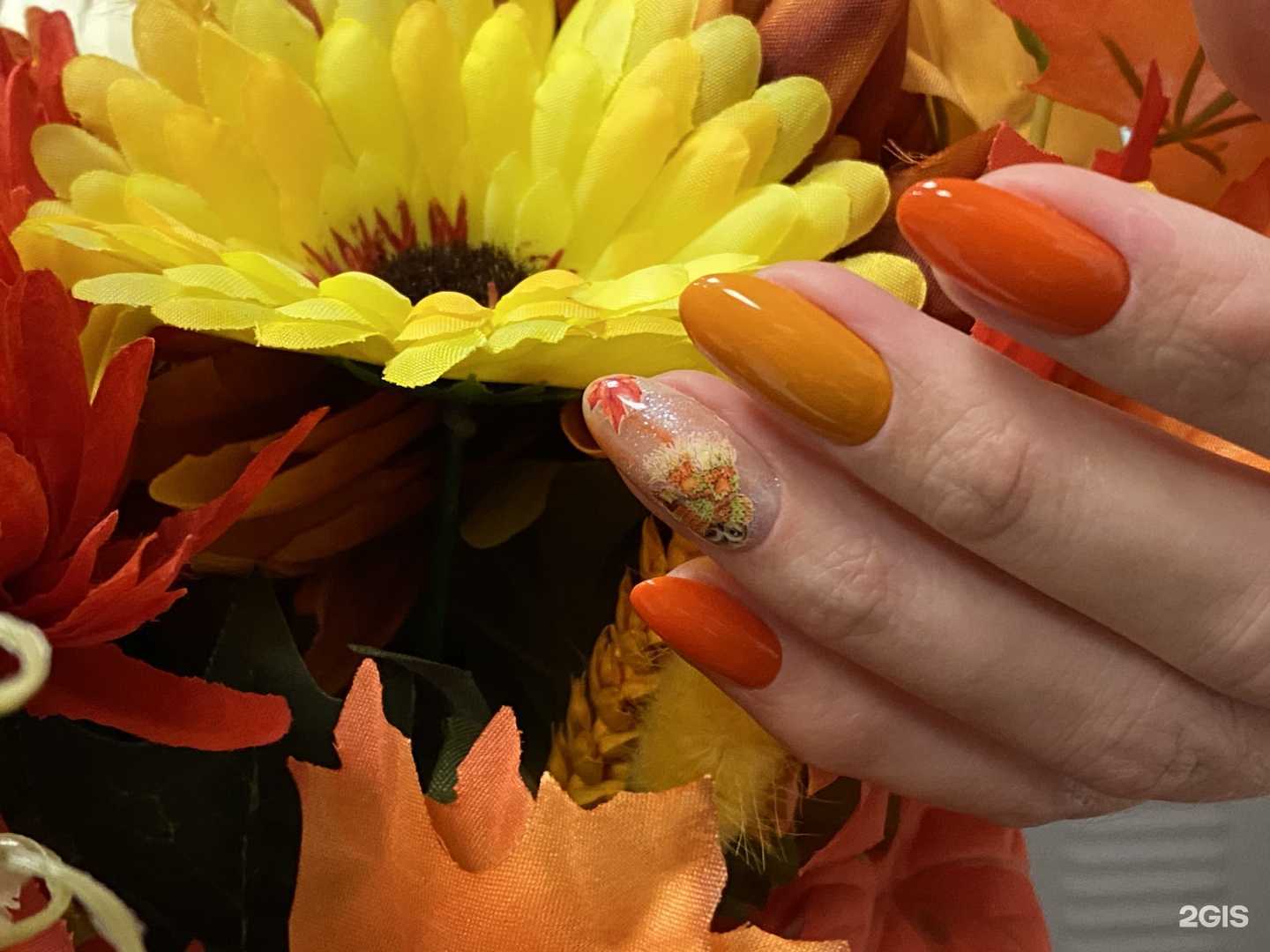 Отзывы на компанию Волшебница в Нижнем Новгороде c фото