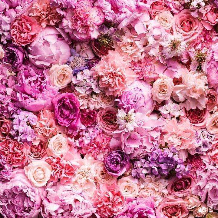 Отзывы на компанию Вероника в Обнинске c фото