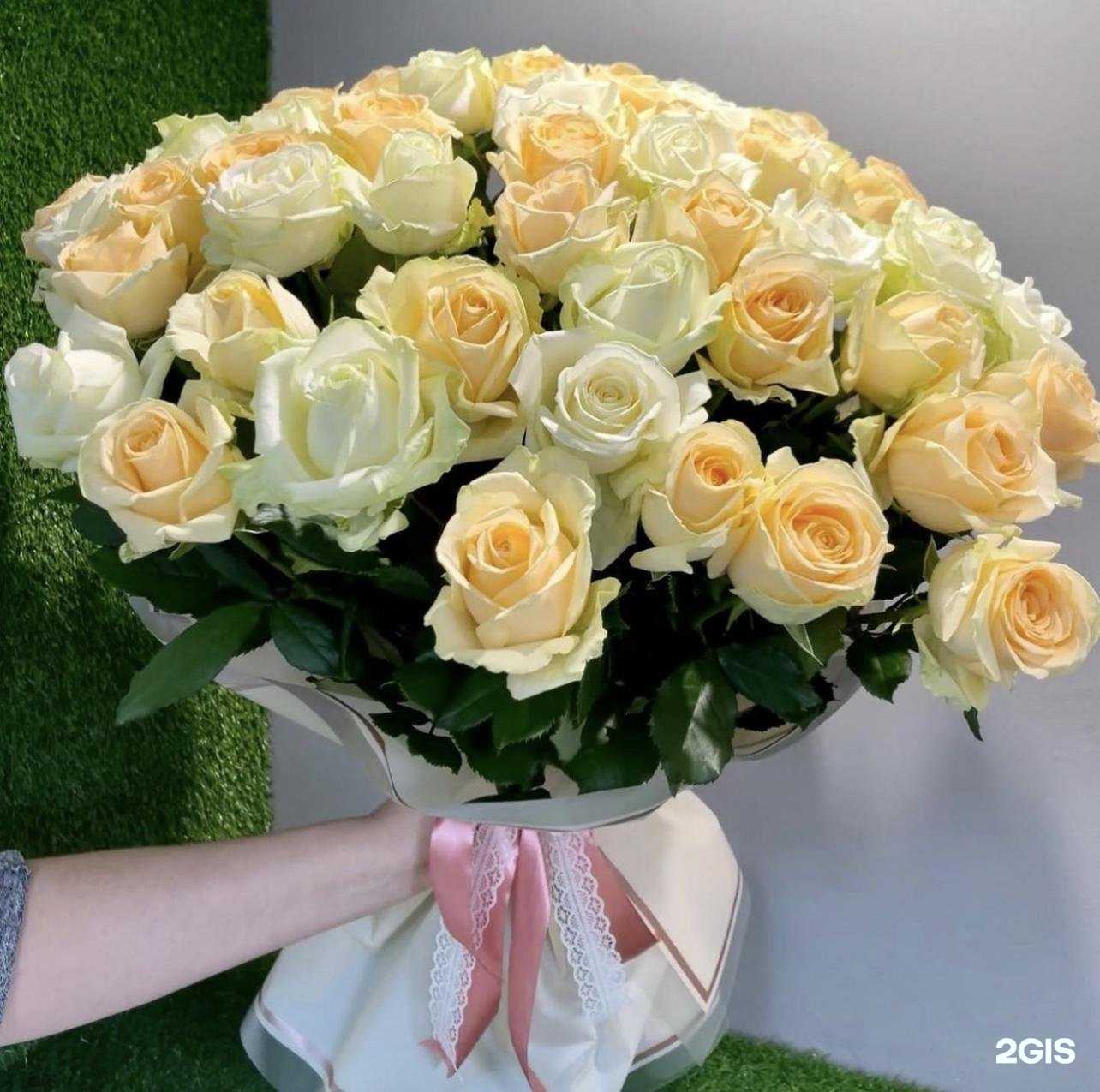 Отзывы на компанию Маркиза в Ставрополе c фото