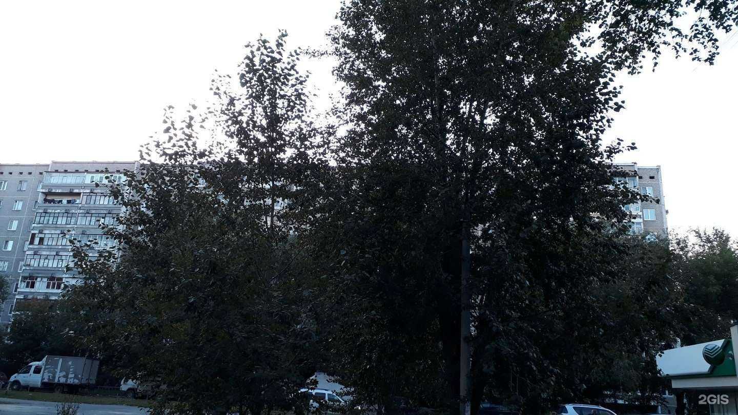 Отзывы на компанию Тиматома в Екатеринбурге c фото - фотография 2 из 2