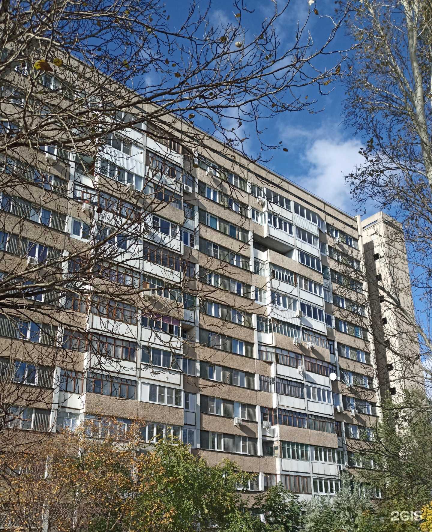 Отзывы на компанию Студия груминга в Тольятти c фото - фотография 2 из 2