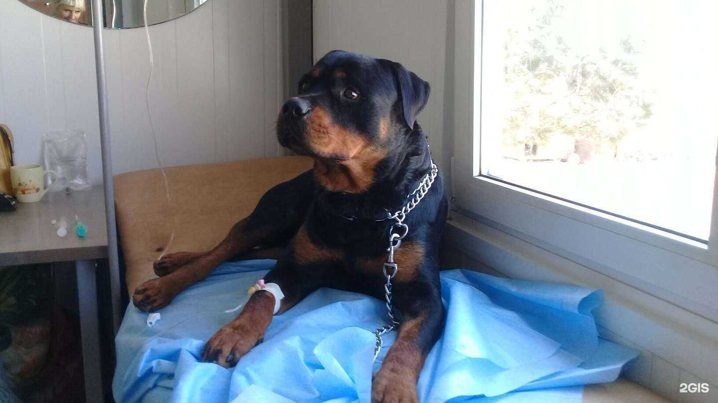 Отзывы на компанию Бетховен в г. Елабуга c фото