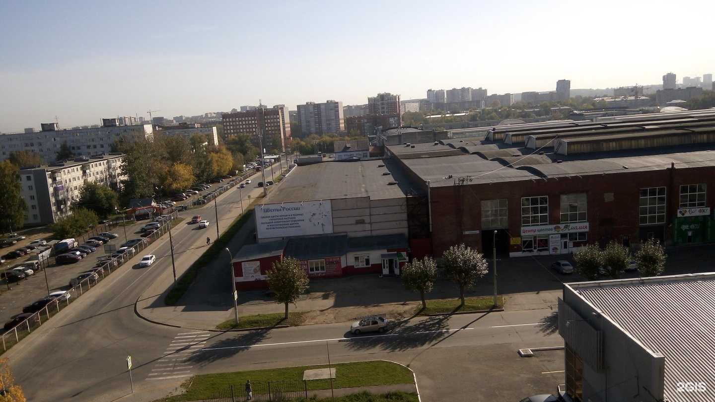 Отзывы на компанию DBShop в Ижевске c фото - фотография 2 из 2