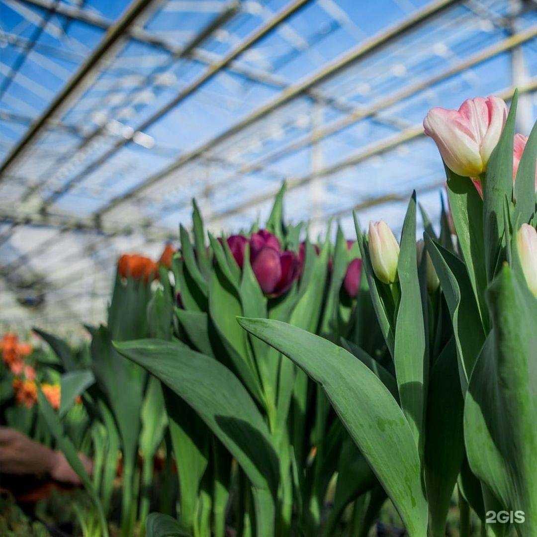 Отзывы на компанию Нпо компас в г. Лыткарино c фото