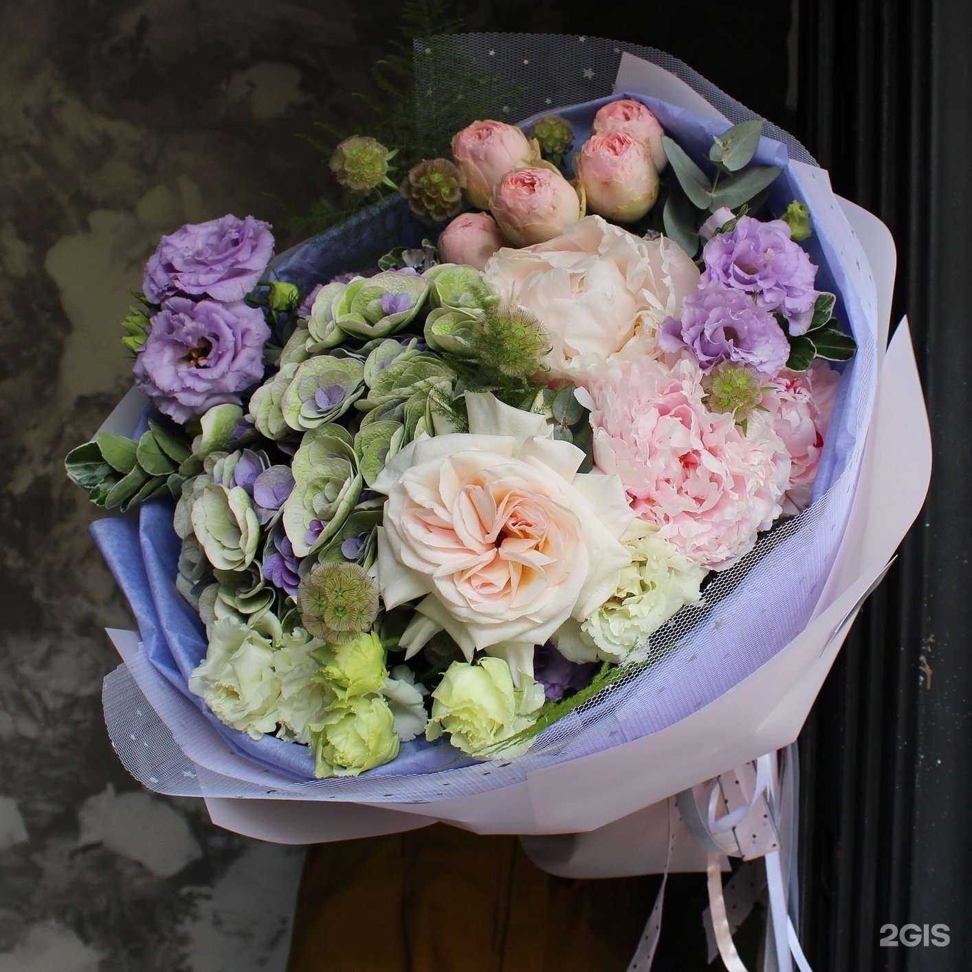 Отзывы на компанию Маки в Ростове-на-Дону c фото