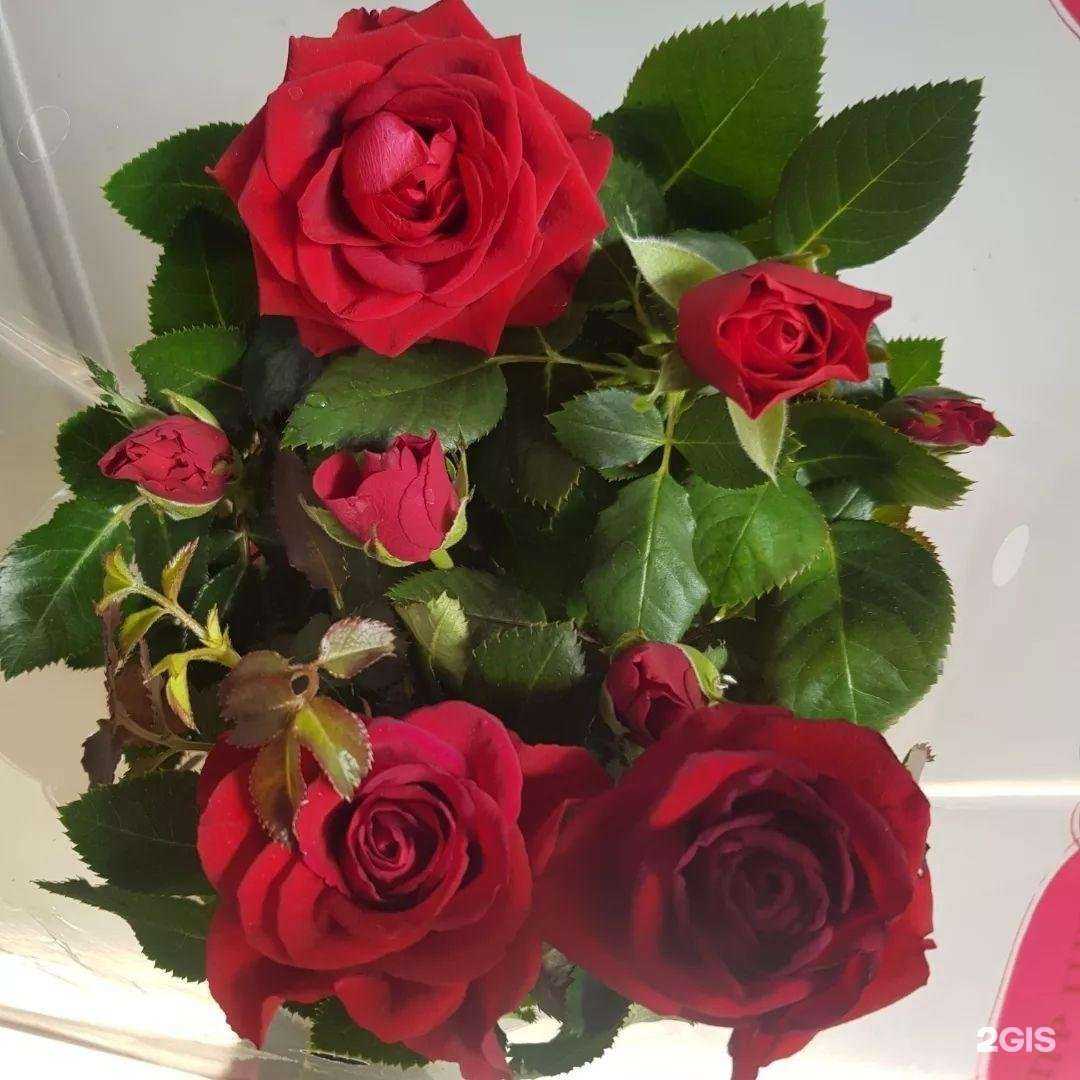 Отзывы на компанию Юнифлор в Тюмени c фото