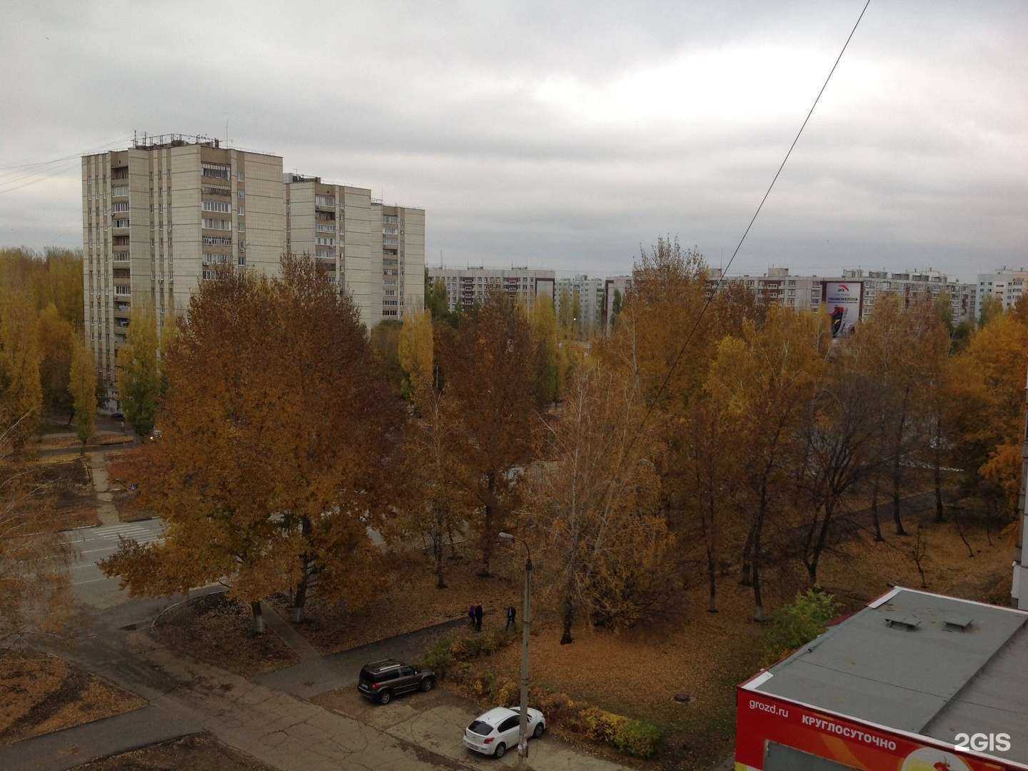 Отзывы на компанию Фауна в Балакове c фото - фотография 2 из 2