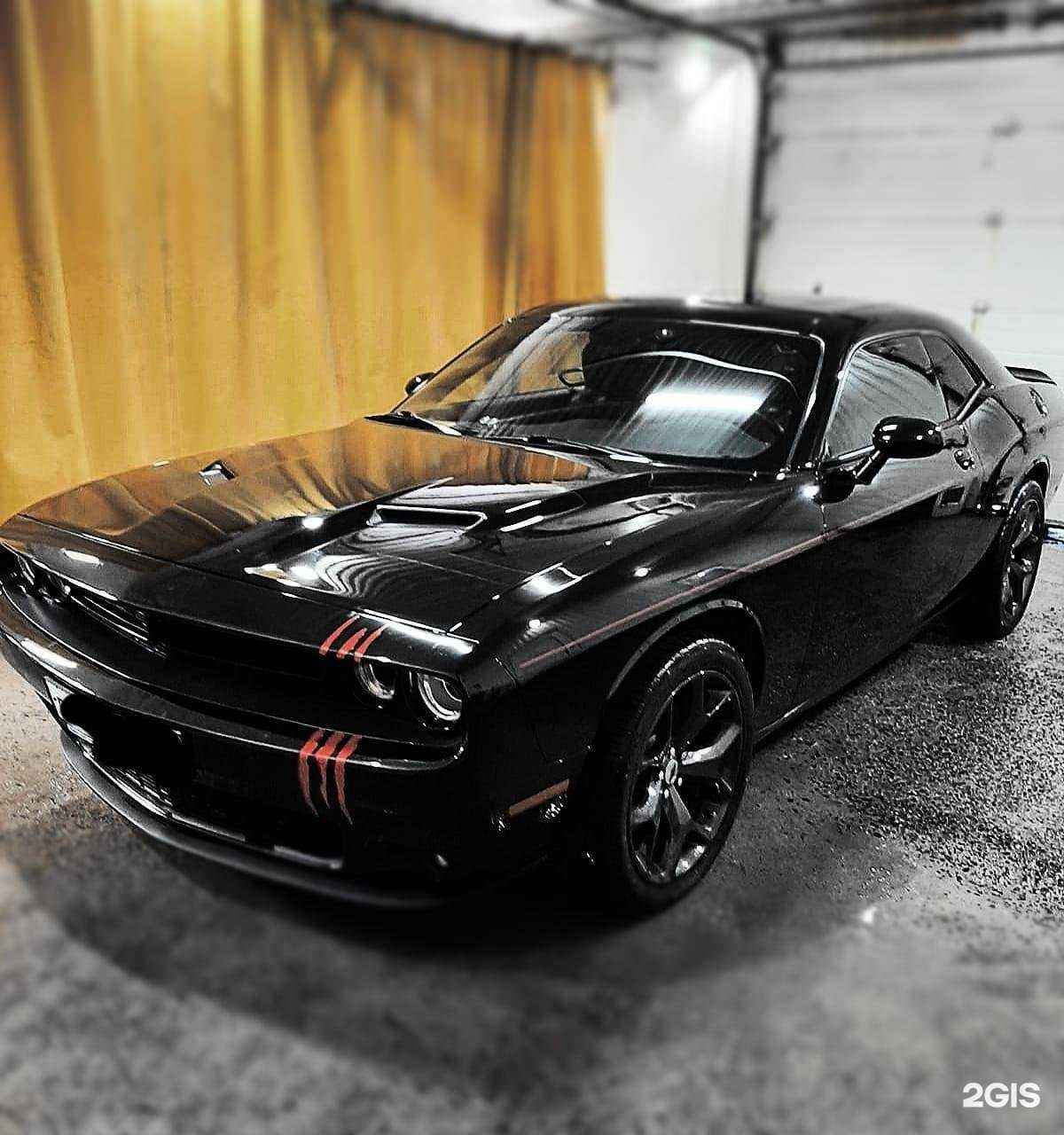 Отзывы на компанию Скиф в Новосибирске c фото