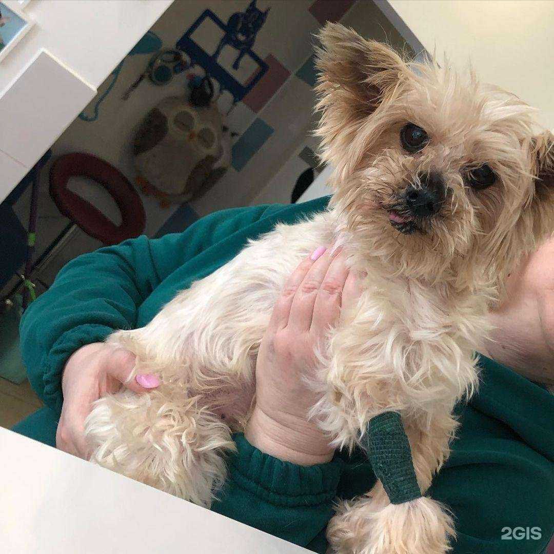 Отзывы на компанию Ёжик в Королёве c фото